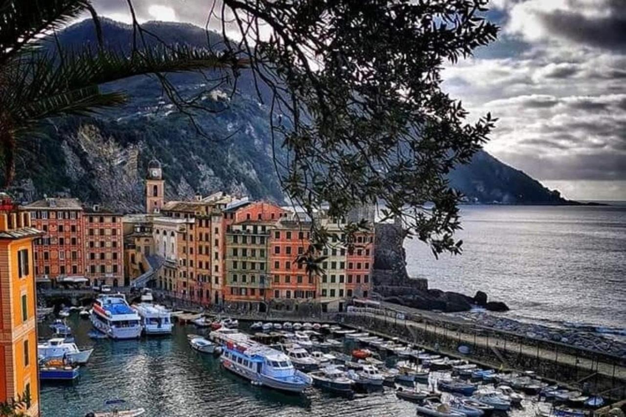 Rosablu Vacanza Tra Mare E Parco Di Portofino Camogli Exterior foto