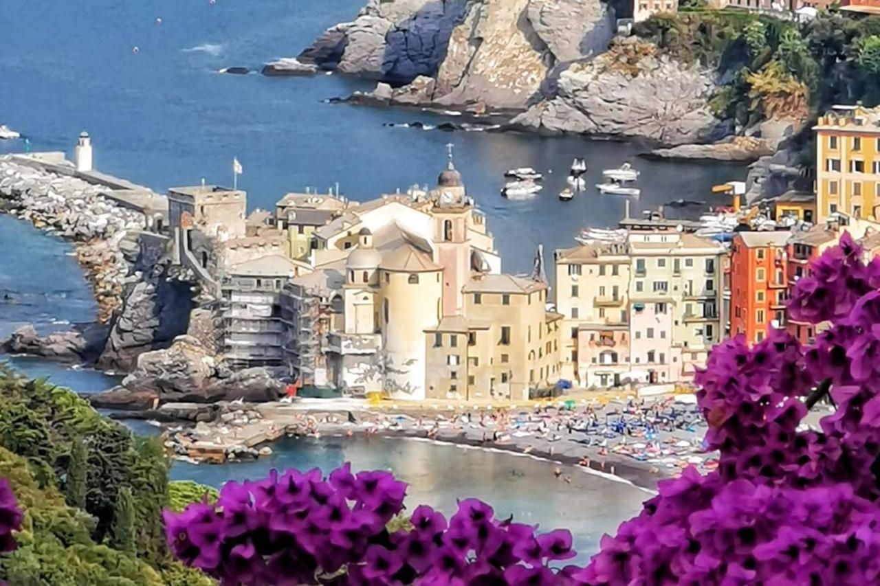 Rosablu Vacanza Tra Mare E Parco Di Portofino Camogli Exterior foto