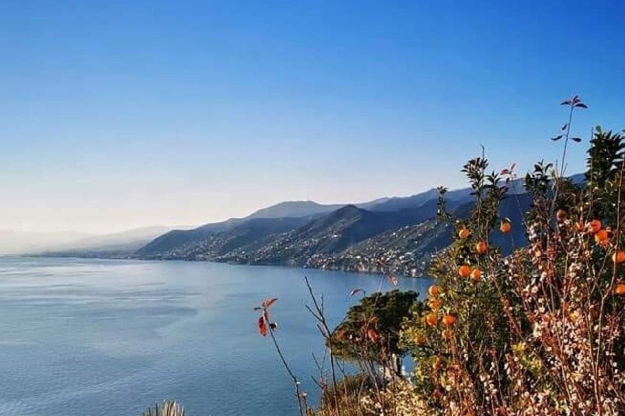 Rosablu Vacanza Tra Mare E Parco Di Portofino Camogli Exterior foto