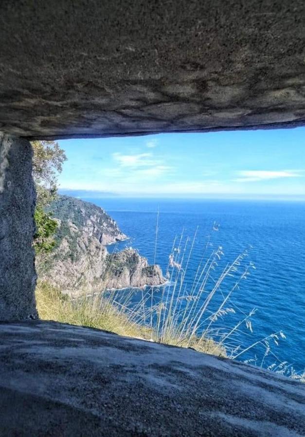 Rosablu Vacanza Tra Mare E Parco Di Portofino Camogli Exterior foto