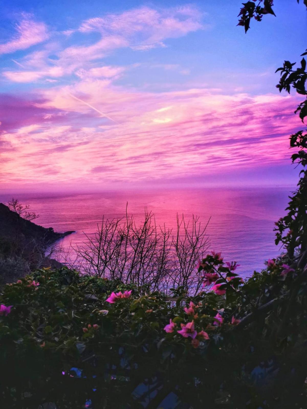 Rosablu Vacanza Tra Mare E Parco Di Portofino Camogli Exterior foto